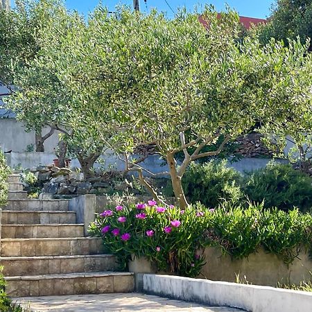 Villa Bua - Beautiful Seafront Apartments Trogir Dış mekan fotoğraf