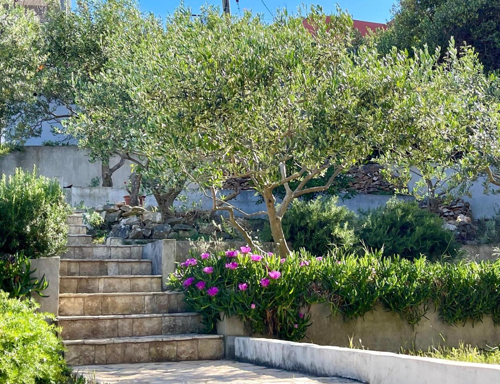 Villa Bua - Beautiful Seafront Apartments Trogir Dış mekan fotoğraf